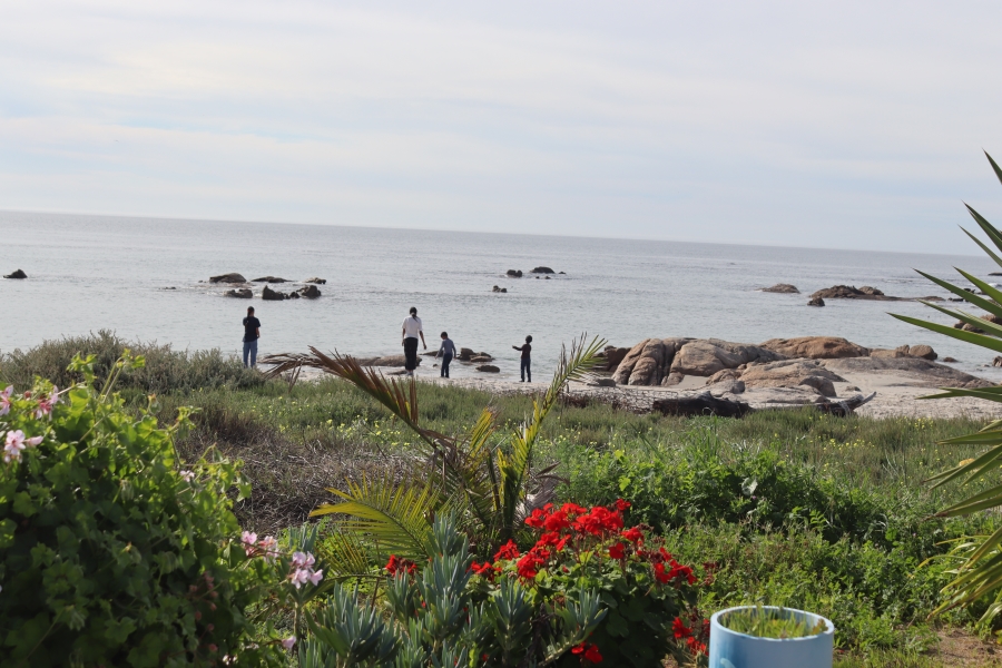 0 Bedroom Property for Sale in Steenbergs Cove Western Cape